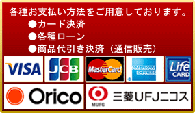 お支払い　各種クレジットカード決済が可能です